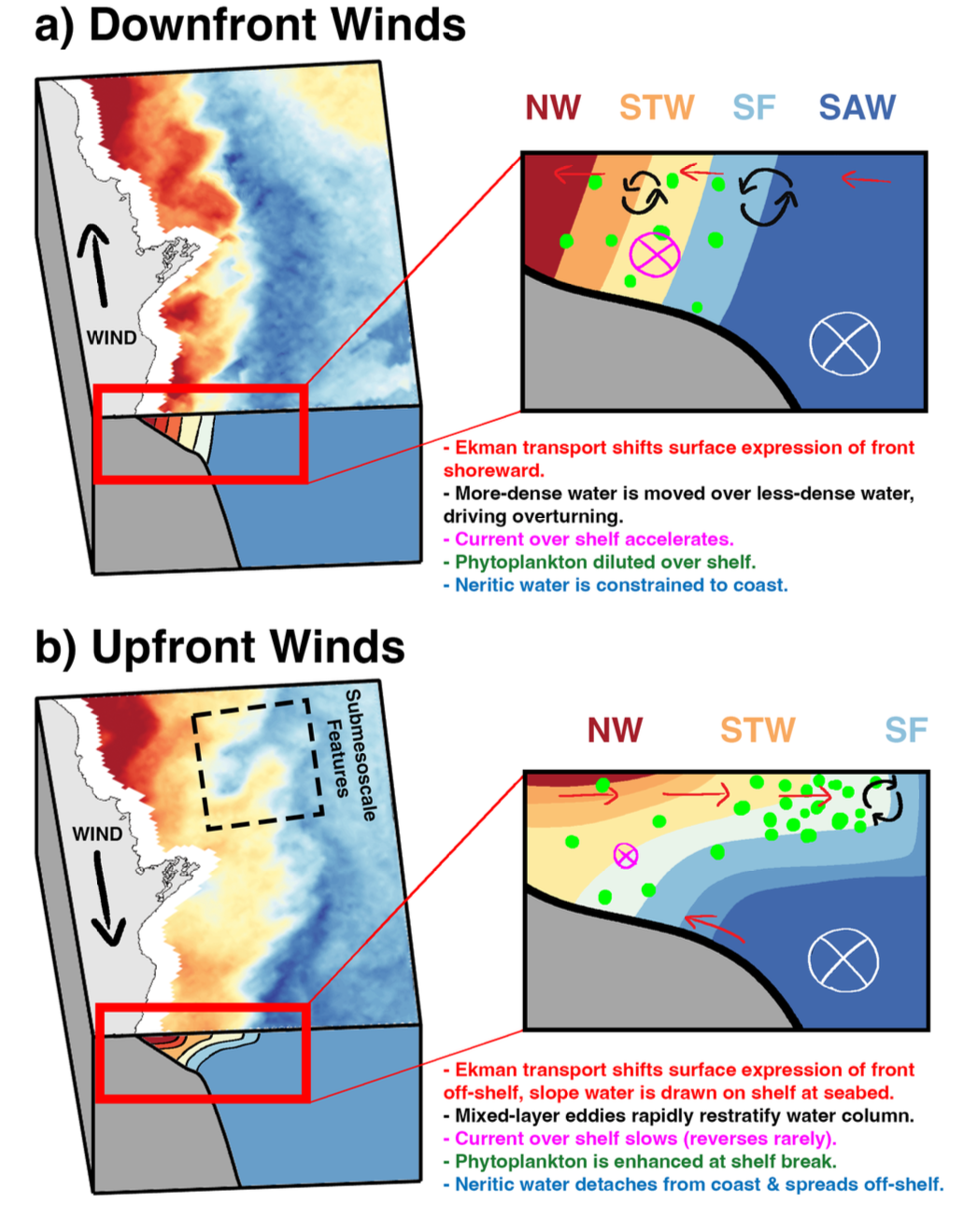IMOS AVHRR sea surface temperature on January 10th, 1999 (a), and February 1st, 2010 (b), following a period of downfront winds (mean along-front stress 0.03 N/m2), and upfront winds (mean along-front stress -0.03 N/m2), respectively. Frames to the right show a hypothetical isothermal structure, with illustrations of potential subseasonal physical mechanisms - as proposed in this thesis.